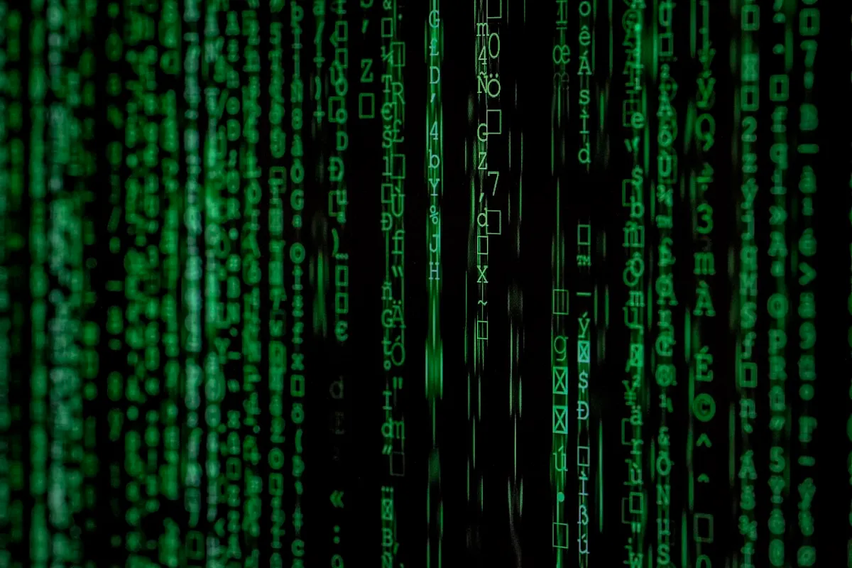 数字とパターン——多様な記数法